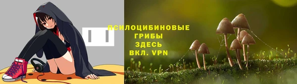 соль курить ск Михайлов