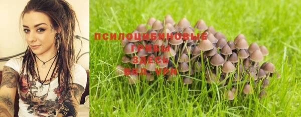кокс Абаза